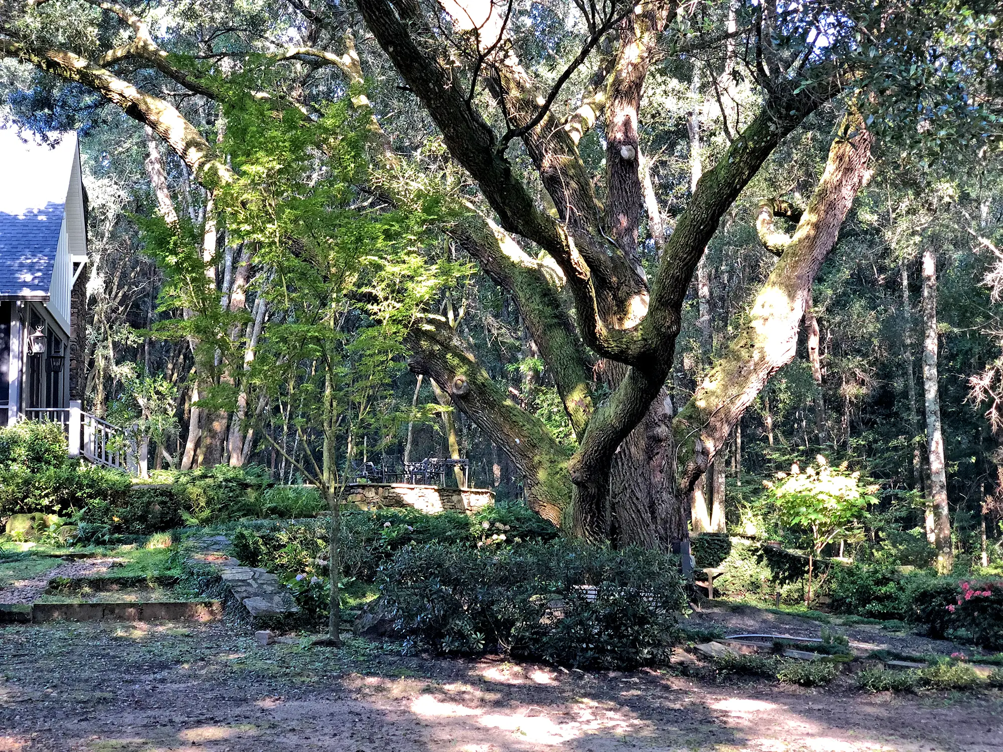 Middle Field